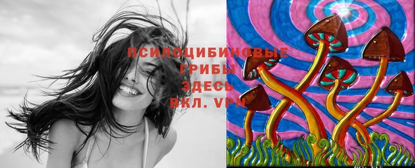 СК Володарск